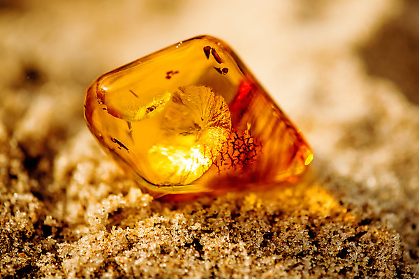 포토 JPG 해외이미지 자연 사람없음 빛 주황색 투명 보석 화석 앰버 해외포토 컬러 광석 생태계 파일형식 이미지허브