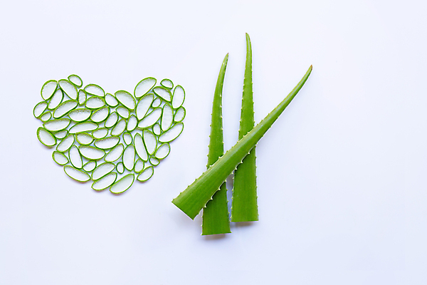 포토 JPG 해외이미지 스튜디오촬영 단면 실내 사람없음 하이앵글 뷰티 하트 흰배경 알로에 플랫레이 해외포토 모양 식물 뷰포인트 백그라운드 내부 흰색 플랫 파일형식 이미지허브