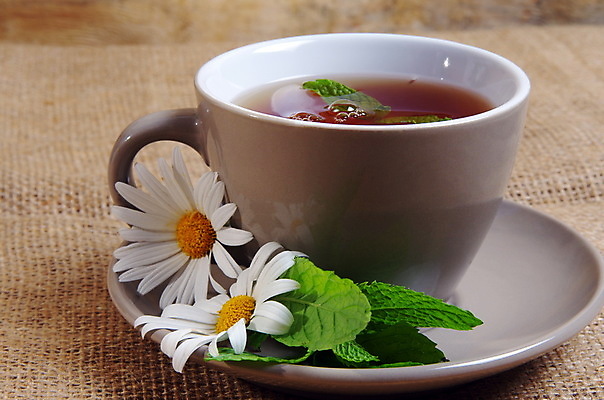 포토 JPG 해외이미지 식물 라이프스타일 꽃 음료 음식 백그라운드 컨셉 잎 자연 유리 휴식 건강 사람없음 컵 초록색 물 약 벚꽃 흰색 신선 뜨거움 찻잔 민트 허브 유기농 데이지 내추럴 캐모마일 해외포토 자연요소 식기 웰빙 컬러 의학 재질 잔 생활 생태계 파일형식 이미지허브