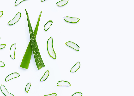 포토 JPG 해외이미지 스튜디오촬영 단면 실내 사람없음 하이앵글 뷰티 흰배경 알로에 해외포토 식물 뷰포인트 백그라운드 내부 흰색 파일형식 이미지허브