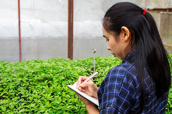 포토 JPG 해외이미지 식물 직업 라이프스타일 여자 행복 산업 음식 잎 밭 농업 채소 비즈니스 자연 노동자 건강 한명 사람 동양인 성인 초록색 뷰티 농장 디지털 정원 성장 신선 잡기 업무 고수 질병 농부 작음 유기농 원예 거름 모종 밭일 온실 해외포토 1 웰빙 감정 컬러 의학 모션 인종 취미 생활 작업 크기 향신료 생태계 파일형식 이미지허브