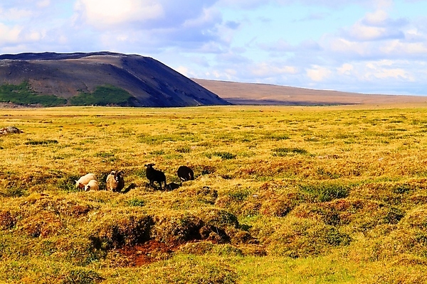 포토 JPG 해외이미지 1 도로 호수 여행 백그라운드 무지개 자연 바람 휴가 산 아이슬란드 풍경 사람없음 내부 물 여름 반사 얼음 침묵 캠핑 사막 원형 황금 오두막 빙하 장면 폭풍 흐림 산악지대 루트 해외포토 자연요소 도형 계절 유럽 길 교통시설 레저 날씨 소리 생태계 파일형식 이미지허브