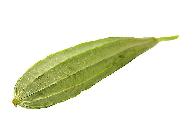 포토 JPG 해외이미지 식물 전통 음식 백그라운드 농업 다이어트 채소 과일 재료 수영장 건강 3 요리 동양인 사람없음 초록색 농장 중국 수확 흰색 신선 맛 먹기 유기농 질감 산등성이 날것 각도 포도나무 박 스쿼시 내추럴 식용 위생관리 채식주의자 해외포토 웰빙 산업 아시아 스포츠 컬러 컨셉 모션 산 관리 인종 구기 과일나무 채식 파일형식 이미지허브