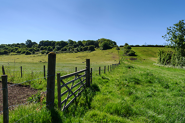 포토 JPG 해외이미지 주간 계절 농업 자연 하늘 휴가 영국 잉글랜드 풍경 사람없음 야외 초록색 여름 관광지 울타리 뷰티 농경지 평화 사진촬영 침묵 봄 시골 땅 그림 장면 방문 내추럴 해외포토 자연요소 유럽 산업 컬러 여행 컨셉 담장 농장 촬영 소리 생태계 파일형식 이미지허브