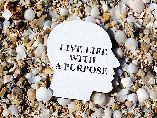 포토 JPG 해외이미지 직업 컨셉 지도 성공 사람없음 힘 꿈 목표 대표 방향 열정 전략 가치 의견 골 에센스 제안 생존 해외포토 감정 화장품 파일형식 이미지허브