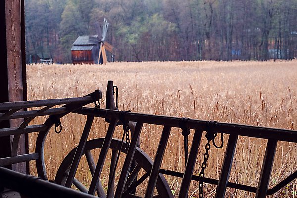 포토 JPG 해외이미지 전통 여행 백그라운드 농업 교통시설 날씨 사람없음 야외 목재 초록색 여름 농장 갈색 마을 정원 카트 수레 장비 풍차 수확 골동품 화물 공구 시골 바퀴 역사 농부 오브젝트 부식 복고 마차 구식 밭일 서쪽 옛날 해외포토 나무 직업 계절 산업 교통수단 컬러 교통 재료 운송업 도구 방향 시설 파일형식 이미지허브