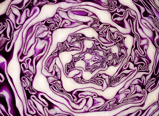 포토 JPG 해외이미지 잡화 음식 채소 재료 건강 요리 사람없음 주방 보라색 식사 샐러드 신선 자르기 준비 유기농 반쪽 양배추 날것 만들기 성분 숙성 채식주의자 개조 해외포토 웰빙 컬러 모션 채식 파일형식 이미지허브