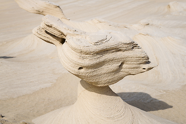 포토 JPG 해외이미지 모양 디자인 실루엣 모래 과학 여행 중동 자연 건조 풍경 사람없음 뷰티 사막 시골 점 화석 지역 암초 멀리 아랍에미리트 관심 울퉁불퉁 지질학 흥미 해외포토 교육 나라 컨셉 촬영기법 생태계 파일형식 이미지허브