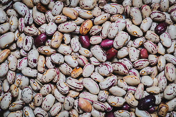 포토 JPG 해외이미지 음식 분홍색 백그라운드 컨셉 콩 건강 사람없음 건강식 단백질 채식주의자 카피스페이스 슈퍼푸드 비건음식 해외포토 컬러 곡류 공백 채식 건강식품 영양소 파일형식 비건 이미지허브