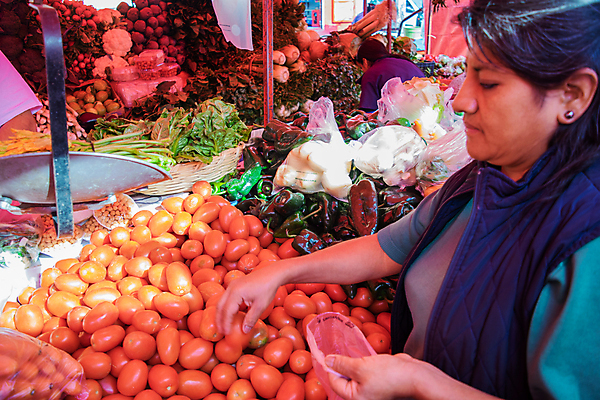 포토 JPG 해외이미지 잡화 음식 농업 다이어트 토마토 채소 오렌지 과일 자연 오이 선반 씨앗 한명 서기 빨간색 초록색 쇼핑 농장 세일 상점 식사 샐러드 신선 시장 구매 상품 쇼핑몰 고객 양배추 날것 소매 슈퍼마켓 매각 채식주의자 체크리스트 해외포토 식물 1 산업 컬러 가구 모션 건강 사람 생태계 채식 파일형식 이미지허브