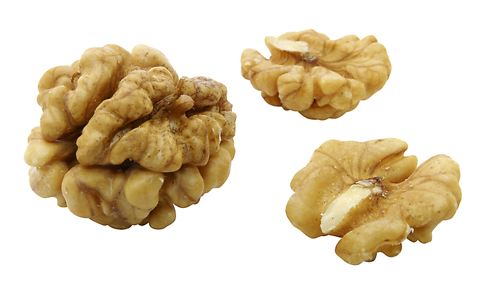 포토 JPG 해외이미지 음식 재료 건조 건강 씨앗 사람없음 갈색 견과류 흰색 주름 그룹 묘사 오브젝트 날것 호두 내추럴 어려움 해외포토 식물 컬러 파일형식 이미지허브