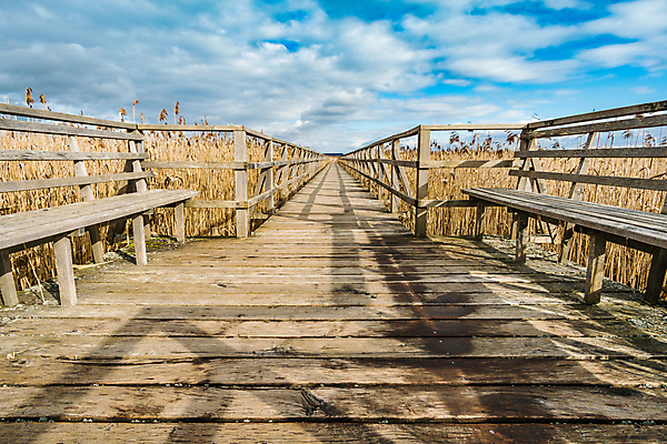 포토 JPG 해외이미지 나무 구름 벤치 갈대 사람없음 목재 산책로 가을 보호 해외포토 자연요소 식물 계절 길 컨셉 의자 재료 파일형식 이미지허브