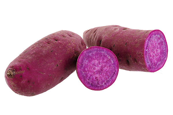 포토 JPG 해외이미지 음식 백그라운드 농업 다이어트 채소 재료 자연 감자 건강 사람없음 빨간색 수확 흰색 신선 달콤 유기농 날것 뿌리 고립 넘어짐 녹말 생식 해외포토 웰빙 산업 컬러 모션 맛 생태계 파일형식 이미지허브