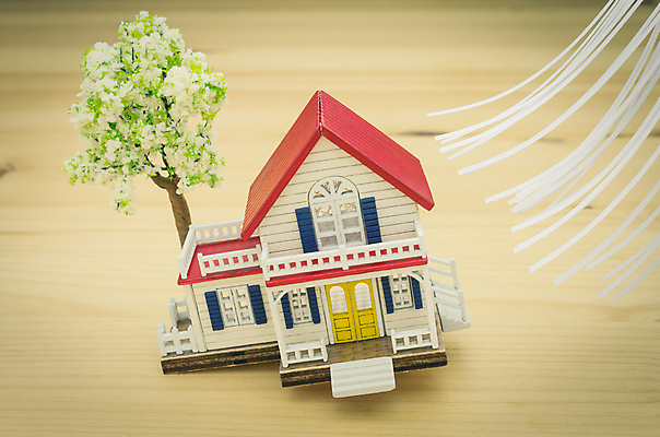 포토 JPG 해외이미지 나무 컨셉 비즈니스 바람 주택 안전 사람없음 건물 믿음 손상 비밀 보안 폭풍 보험 낭비 돌봄 분실 재앙 타격 허리케인 헬프 해외포토 자연요소 식물 건축물 감정 모션 날씨 도움 자연재해 파일형식 이미지허브