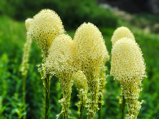포토 JPG 해외이미지 사람없음 미국 폭포 빙하 사이클링 절정 해외포토 북아메리카 자연 육상스포츠 파일형식 이미지허브