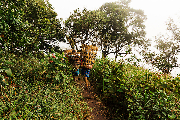 포토 JPG 해외이미지 직업 라이프스타일 공원 아시아 여행 백그라운드 배낭 태국 자연 휴가 산 사람 동양인 사람없음 야외 초록색 바구니 여행객 걷기 환경 트래킹 하이킹 시골 작업 숲 오솔길 언덕 지역 무거움 내추럴 선로 채용 해외포토 공공시설 나라 길 컬러 가방 비즈니스 모션 레저 인종 생활 무게 생태계 파일형식 이미지허브