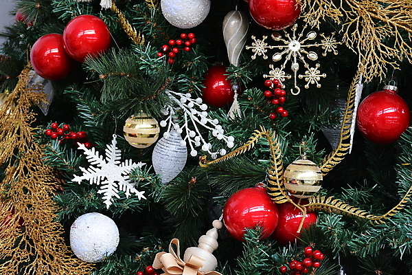 포토 JPG 해외이미지 나무 계절 행복 아시아 백그라운드 크리스마스 겨울 공 휴가 기념 사람없음 장식 빨간색 초록색 빛 크리스마스트리 축제 축하 오브젝트 해외포토 식물 기념일 감정 나라 컬러 컨셉 파일형식 이미지허브