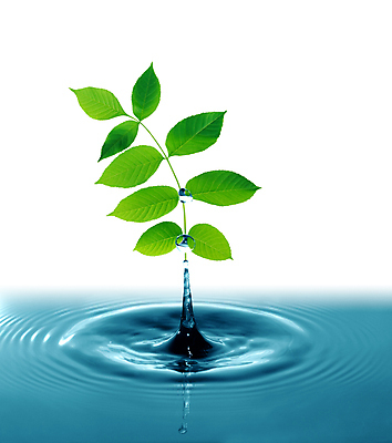 포토 JPG 해외이미지 나무 백그라운드 이동 컨셉 자연 표면 추상 건강 사람없음 물 여름 컬러풀 환경 활발 에너지 자유 신선 투명 액체 변화 우아함 닫기 떨어짐 빨래 숲 분무기 제트기 강렬 떠남 생태학 순간 정물화 스플래쉬 스타일 해외포토 자연요소 식물 계절 교육 컬러 가사 무늬 모션 비행기 그림 생태계 파일형식 이미지허브