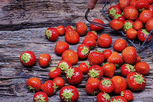 포토 JPG 해외이미지 열매 음식 조각 백그라운드 십자가 잎 다이어트 과일 재료 부분 딸기 디저트 건강 3 씨앗 사람없음 빨간색 초록색 빛 활발 신선 그룹 닫기 달콤 맛 먹기 흰배경 상쾌 유기농 날것 내추럴 강렬 숙성 완벽 채식주의자 해외포토 식물 웰빙 감정 컬러 컨셉 모션 흰색 채식 파일형식 이미지허브