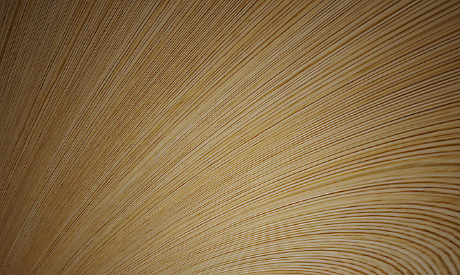 포토 JPG 해외이미지 나무 디자인 벽 가구 백그라운드 패턴 일러스트 자연 벽지 탁자 표면 추상 바닥 프레임 사람없음 목재 장식 갈색 소나무 판넬 구멍 거친 널 낟알 타일 책상 질감 목공예 잡동사니 내추럴 수목 옛날 파케트 해외일러스트 식물 컬러 생활용품 무늬 재료 공예 생태계 파일형식 이미지허브