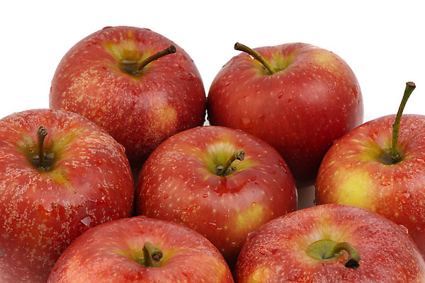 포토 JPG 해외이미지 디자인 음식 백그라운드 잎 패턴 농업 다이어트 과일 자연 추상 건강 사람없음 빨간색 초록색 세트 컬러풀 농장 정원 수확 흰색 신선 그룹 달콤 맛 사과 정상 유기농 날것 내추럴 고립 숙성 이국적 채식주의자 비건 해외포토 식물 웰빙 산업 컬러 컨셉 무늬 생태계 채식 파일형식 이미지허브