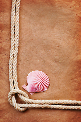 포토 JPG 해외이미지 종이 밧줄 백그라운드 사람없음 갈색 조개껍데기 엉킴 질감 카피스페이스 해외포토 줄 컬러 조개 공백 파일형식 이미지허브