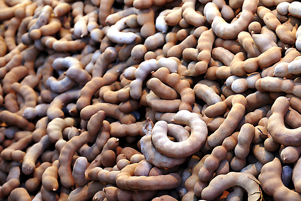 포토 JPG 해외이미지 음식 백그라운드 잎 곡선 다이어트 채소 과일 재료 태국 자연 디저트 콩 건강 요리 씨앗 사람없음 목재 가로 빨간색 농작물 갈색 쌓기 껍질 신선 오픈 그룹 시장 달콤 맛 먹기 오브젝트 유기농 질감 날것 내추럴 숙성 식용 이국적 채식주의자 해외포토 나무 식물 웰빙 아시아 선 컬러 컨셉 농업 모션 곡류 생태계 채식 파일형식 이미지허브