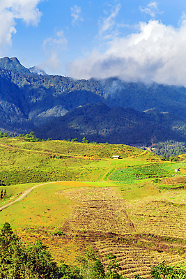포토 JPG 해외이미지 나무 실루엣 아시아 여행 백그라운드 밭 농업 자연 벽지 하늘 밥 산 파노라마 사람없음 야외 초록색 파란색 컬러풀 환경 트래킹 하이킹 안개 시골 숲 땅 언덕 산등성이 오르기 알프스 베트남 장면 계단식 웅장함 절정 수평선 해외포토 식물 유럽 나라 산업 음식 컬러 모션 레저 날씨 촬영기법 동남아시아 생태계 파일형식 이미지허브