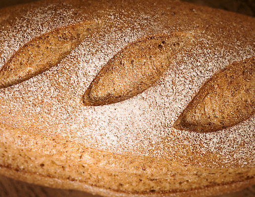 포토 JPG 해외이미지 표면 실내 근접촬영 사람없음 질감 호밀빵 해외포토 빵 뷰포인트 내부 파일형식 이미지허브