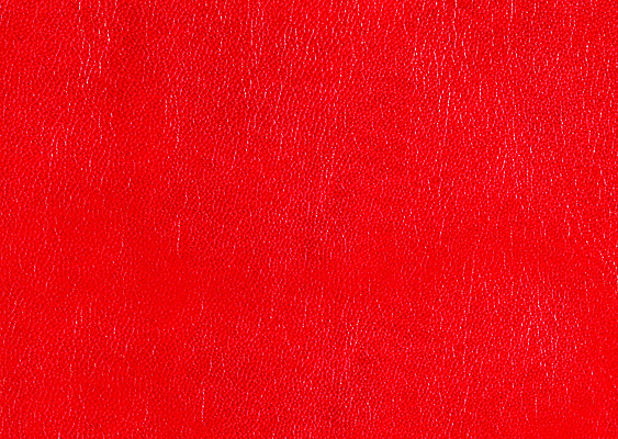 포토 JPG 해외이미지 동물 디자인 옷 가구 백그라운드 패턴 의자 비즈니스 자연 표면 추상 미술 사람없음 장식 빨간색 소파 유행 우주 수확 짐 덮개 거친 주름 고급 낟알 가죽 질감 복고 층 숨김 내추럴 그런지 인공 진짜 스타일 해외포토 컬러 생활용품 컨셉 무늬 농업 문화예술 뚜껑 생태계 파일형식 이미지허브