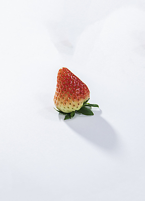 포토 JPG 해외이미지 음식 채소 과일 사람없음 망고 국산 해외포토 열대과일 파일형식 이미지허브