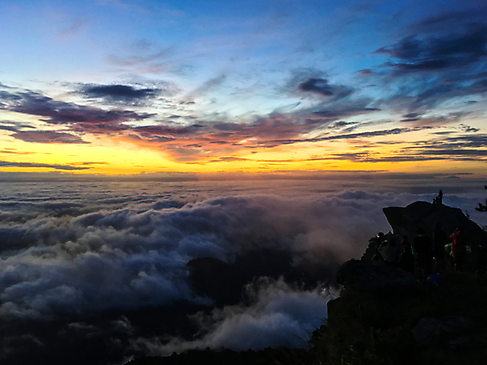 포토 JPG 해외이미지 나무 계절 여행 백그라운드 컨셉 지도 일러스트 비즈니스 텍스트 태국 자연 하늘 추상 산 함께함 사람없음 야외 초록색 파란색 단어 빛 뷰티 환경 자유 흰색 가리킴 숲 사인 긍정 내추럴 해외포토 식물 문자 아시아 컬러 무늬 손짓 생태계 파일형식 이미지허브