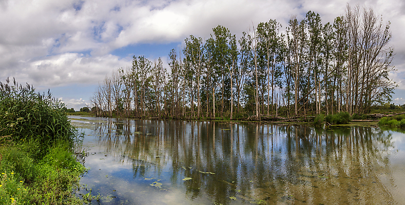 포토 JPG 해외이미지 나무 식물 공원 자연 하늘 파노라마 사람없음 초록색 물 파란색 강 반사 평화 침묵 하이킹 굴 개울 네덜란드 운하 지역 전국 해외포토 자연요소 공공시설 유럽 컬러 컨셉 레저 어패류 촬영기법 소리 생태계 파일형식 이미지허브