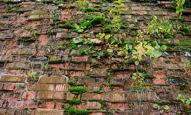 포토 JPG 해외이미지 벽 조각 백그라운드 패턴 오렌지 건축양식 벽지 표면 날씨 벽돌 돌담 석조 사람없음 건물 가로 빨간색 세로 갈색 블록 흰색 시골 도시 얼룩 거친 역사 파편 건축가 질감 시멘트 직사각형 고체 구식 그런지 석고 옛날 콘크리트 노화 많음 해외포토 도형 직업 건축물 건축 컬러 컨셉 무늬 과일 담장 돌_바위 파일형식 이미지허브