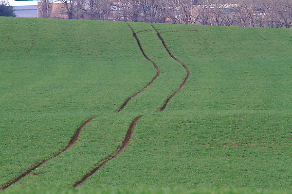 포토 JPG 해외이미지 나무 유럽 야생동물 여행 밭 자연 벽지 휴가 파노라마 그림자 사람 사람없음 야외 초록색 컬러풀 태양 와인 맑음 놀람 봄 산책로 언덕 만족 그림 지역 체코 남쪽 공화국 토스카나 모라비아 해외포토 자연요소 식물 동물 계절 감정 나라 길 컬러 농업 날씨 주류 촬영기법 표정 이탈리아 방향 생태계 파일형식 이미지허브