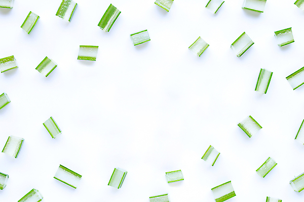 포토 JPG 해외이미지 스튜디오촬영 단면 실내 사람없음 하이앵글 뷰티 흰배경 알로에 해외포토 식물 뷰포인트 백그라운드 내부 흰색 파일형식 이미지허브