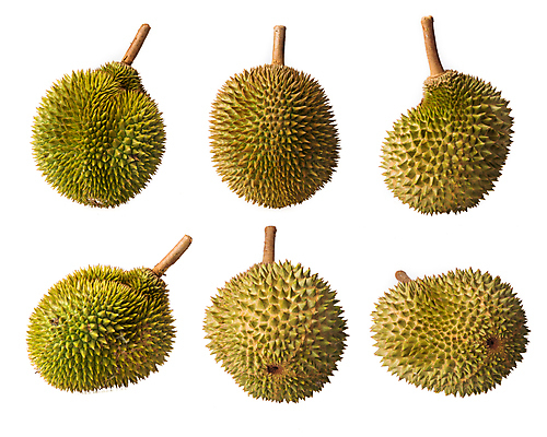 포토 JPG 해외이미지 나무 계절 음식 과일 재료 부분 자연 디저트 건강 사람없음 초록색 노란색 신선 가시 달콤 맛 유기농 날것 냄새 고립 숙성 이국적 해외포토 식물 웰빙 컬러 컨셉 생태계 파일형식 이미지허브