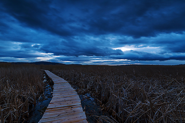 포토 JPG 해외이미지 나무 식물 구름 계절 꽃 도로 길 호수 야생동물 여행 백그라운드 밭 오렌지 자연 아침 풍경 사람없음 야외 목재 물 강 평화 환경 침묵 황혼 일몰 산책 하이킹 가을 연못 황무지 습지 저녁 숲 내추럴 방법 불가리아 해외포토 주간 자연요소 동물 컨셉 농업 과일 재료 교통시설 레저 휴식 노을 소리 야간 생태계 파일형식 남유럽 이미지허브