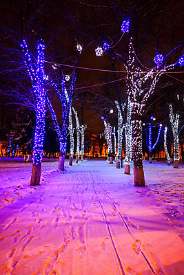 포토 JPG 해외이미지 나무 계절 공원 길 백그라운드 크리스마스 겨울 벤치 자연 새로움 사람없음 목재 장식 빨간색 파란색 빛 평화 얼음 추위 흰색 램프 야간 저녁 숲 12월 연도 서리 정사각형 장면 1월 2월 폭설 눈내림 해외포토 자연요소 도형 식물 공공시설 기념일 컬러 컨셉 의자 재료 조명 눈_날씨 날짜 자연재해 생태계 파일형식 이미지허브