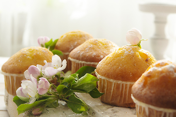 포토 JPG 해외이미지 꽃 음식 신체 휴가 휴식 디저트 부활절 건강 사람없음 목재 장식 빛 뷰티 파티 케이크 맑음 봄 빵집 흰색 시골 축하 신선 생일 달콤 맛 아침식사 사과 설탕 컵케이크 굽기 먹기 머핀 수선화 러시아인 페스츄리 핸드메이드 해외포토 서양인 나무 식물 계절 기념일 빵 컬러 컨셉 과일 재료 모션 날씨 이벤트 상점 식사 구이 파일형식 이미지허브