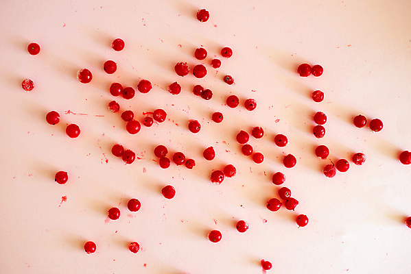 포토 JPG 해외이미지 스튜디오촬영 열매 음식 백그라운드 패턴 과일 부분 벽지 딸기 추상 건강 사람없음 장식 가로 빨간색 컬러풀 유행 신선 원형 그룹 달콤 맛 자르기 유기농 질감 레이아웃 날것 개성 질서 건강식 내추럴 고립 숙성 채식주의자 파스텔톤 많음 미니멀 해외포토 도형 식물 웰빙 컬러 컨셉 무늬 모션 실내 예절 채식 파일형식 이미지허브