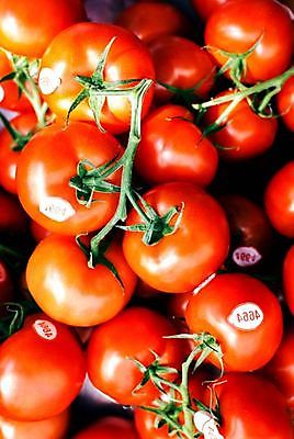 포토 JPG 해외이미지 식물 음식 백그라운드 잎 농업 다이어트 토마토 채소 과일 재료 자연 건강 요리 사람없음 빨간색 초록색 여름 빛 식사 활발 샐러드 성장 흰색 신선 원형 시장 맛 케첩 먹기 오브젝트 싱글 유기농 원예 날것 내추럴 고립 숙성 영양분 채식주의자 해외포토 도형 웰빙 계절 산업 컬러 컨셉 모션 취미 소스_음식 생태계 채식 파일형식 이미지허브