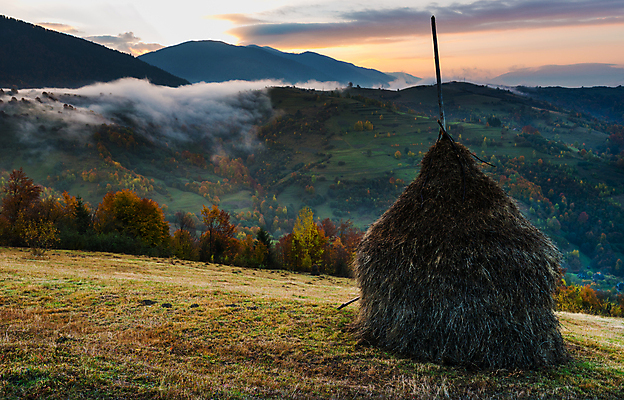 포토 JPG 해외이미지 밭 농업 자연 벽지 하늘 아침 산 사람없음 야외 초록색 빛 태양 농장 농경지 마을 일출 환경 계곡 일몰 새벽 안개 시골 건초더미 볏짚 땅 언덕 웅장함 수평선 해외포토 주간 자연요소 산업 컬러 날씨 노을 건초 짚 생태계 파일형식 더미 이미지허브