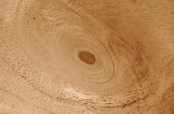 포토 JPG 해외이미지 디자인 산업 선 벽 가구 백그라운드 패턴 건축양식 자연 표면 추상 바닥 주택 사람없음 내부 목재 장식 빛 문 줄무늬 소나무 판넬 닫기 널 매끈함 낟알 묘사 질감 잡동사니 수목 진짜 스타일 파케트 해외포토 나무 건축 생활용품 무늬 재료 모션 건물 감각 생태계 파일형식 이미지허브