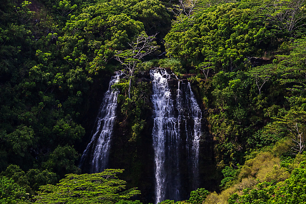 포토 JPG 해외이미지 나무 공원 섬 여행 백그라운드 잎 자연 휴가 열대 산 사람없음 야외 초록색 물 강 뷰티 환경 놀람 폭포 흐름 개울 떨어짐 숲 크루즈 그림 하와이 내추럴 대칭 해외포토 자연요소 식물 공공시설 감정 컬러 컨셉 배_교통 표정 미국 생태계 파일형식 이미지허브