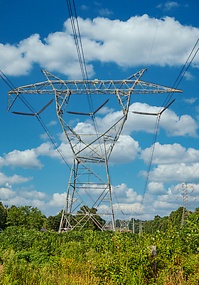 포토 JPG 해외이미지 나무 산업 선 사람없음 초록색 환경 탑 금속 힘 에너지 숲 전염 철사 볼트 철탑 긴장 전압 지원 공급 해외포토 식물 건축물 감정 컬러 재질 공구 질병 감염 파일형식 이미지허브