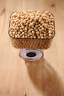 포토 JPG 해외이미지 아시아 음식 백그라운드 농업 채소 재료 부분 콩 건조 건강 씨앗 사람없음 노란색 닫기 몸무게 가득함 오브젝트 유기농 눈금 날것 섬유 내추럴 계량 단백질 대두 채식주의자 많음 해외포토 식물 웰빙 나라 산업 컬러 컨셉 모션 곡류 직물 채식 영양소 파일형식 이미지허브