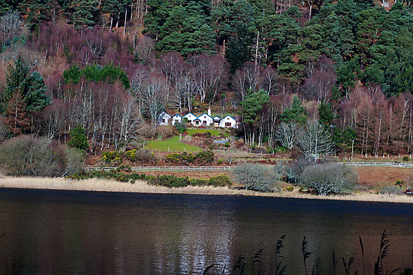 포토 JPG 해외이미지 여행 자연 하늘 산 주택 사람없음 야외 건물 초록색 갈색 시골 아일랜드 흐림 해외포토 건축물 유럽 컬러 날씨 생태계 파일형식 이미지허브