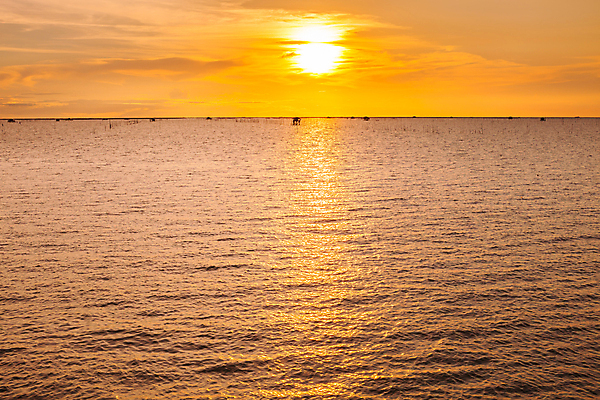 포토 JPG 해외이미지 실루엣 도로 호수 모래 파도 바다 여행 백그라운드 요트 오렌지 텍스트 교통시설 자연 조류 하늘 낚시 휴가 사람 풍경 사람없음 야외 물 여름 컬러풀 태양 반사 일출 환경 일몰 기쁨 자유 보트 저녁 연결 승무원 속도 공상 강렬 건너기 해외포토 자연요소 동물 직업 계절 감정 길 컬러 교통 컨셉 배_교통 과일 모션 레저 촬영기법 노을 야간 시설 생태계 파일형식 이미지허브