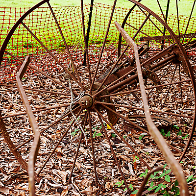 포토 JPG 해외이미지 나무 문화 백그라운드 잎 교통시설 자연 풍경 사람없음 야외 농장 갈색 환경 금속 기계 수확 바퀴 역사 호주 숲 속도 부식 폐허 방치 밭일 식민지 실행 옛날 파멸 해외포토 식물 컬러 교통 컨셉 농업 재질 오세아니아 시설 생태계 파일형식 소멸 이미지허브